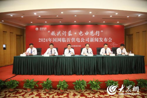 電力先行助發(fā)展 國網(wǎng)臨沂供電公司多維舉措服務(wù)臨沂經(jīng)濟(jì)社會(huì)現(xiàn)代化